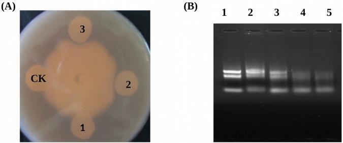 https://cdn.ncbi.nlm.nih.gov/pmc/blobs/9477/4482714/3e6a1f896ef1/pone.0129932.g005.jpg