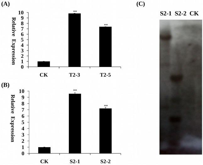 https://cdn.ncbi.nlm.nih.gov/pmc/blobs/9477/4482714/651166505b29/pone.0129932.g006.jpg