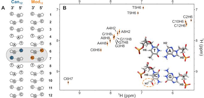 https://cdn.ncbi.nlm.nih.gov/pmc/blobs/9477/7470965/6c3705dbf19e/gkaa589fig1.jpg