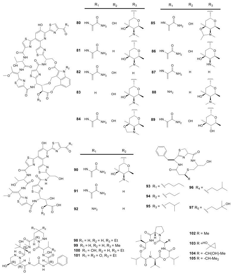 https://cdn.ncbi.nlm.nih.gov/pmc/blobs/9478/8037709/d4163192aa97/molecules-26-01884-g004.jpg