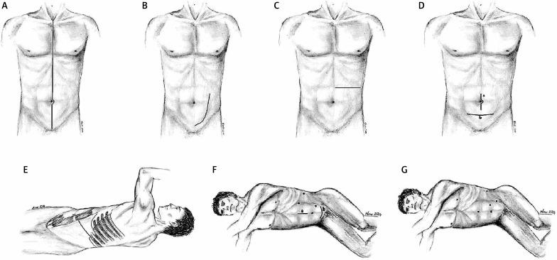 https://cdn.ncbi.nlm.nih.gov/pmc/blobs/9479/5016594/0187b96667d8/AMS-12-28229-g001.jpg