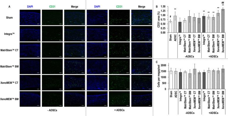 https://cdn.ncbi.nlm.nih.gov/pmc/blobs/947a/7694925/22bf7c37a22f/13287_2020_2021_Fig6_HTML.jpg