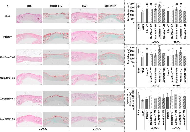 https://cdn.ncbi.nlm.nih.gov/pmc/blobs/947a/7694925/b974e2438984/13287_2020_2021_Fig4_HTML.jpg