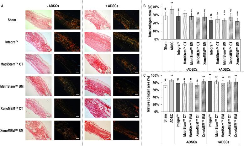 https://cdn.ncbi.nlm.nih.gov/pmc/blobs/947a/7694925/f9b0a5ea3ac6/13287_2020_2021_Fig5_HTML.jpg