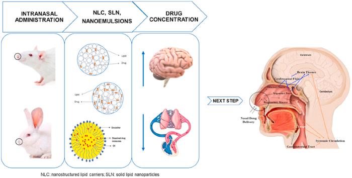 https://cdn.ncbi.nlm.nih.gov/pmc/blobs/947b/8105874/fef9aaf2bdc4/fx1.jpg