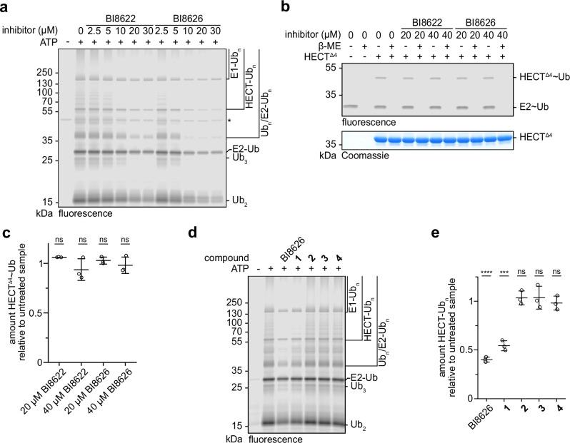 https://cdn.ncbi.nlm.nih.gov/pmc/blobs/947c/12405493/206927e6793d/41467_2025_63442_Fig1_HTML.jpg