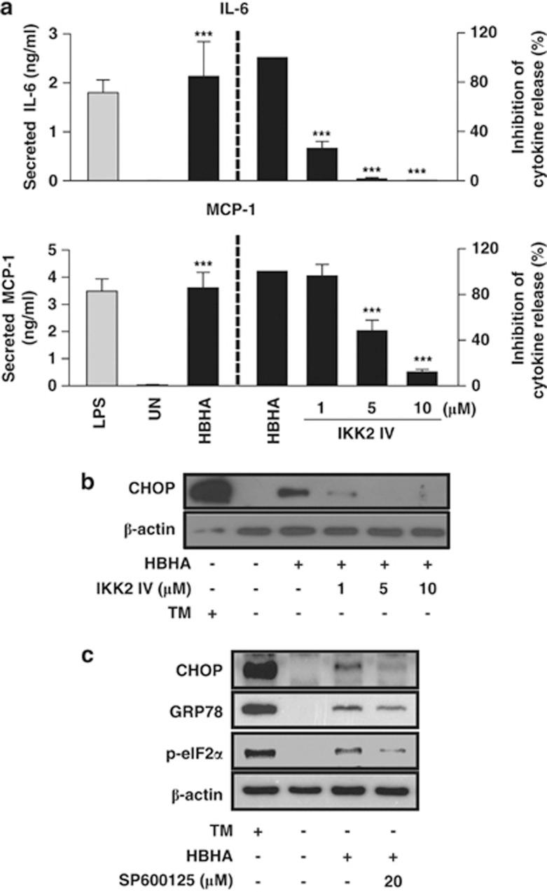 https://cdn.ncbi.nlm.nih.gov/pmc/blobs/947c/3877560/f0164c6623e0/cddis2013489f3.jpg