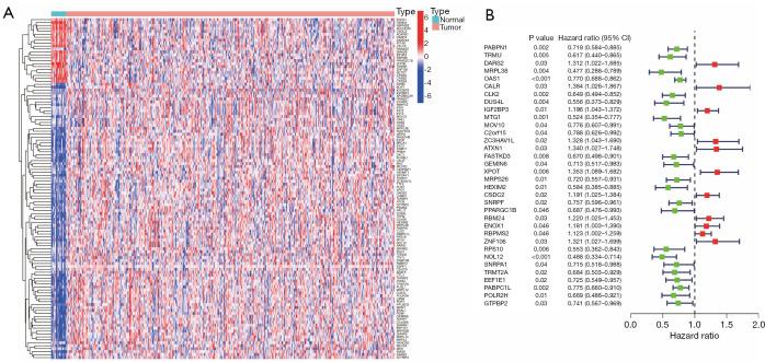 https://cdn.ncbi.nlm.nih.gov/pmc/blobs/947d/12076236/81eabdebe256/tau-14-04-1066-f2.jpg