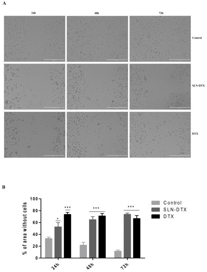 https://cdn.ncbi.nlm.nih.gov/pmc/blobs/947d/9370415/5d2489a7ca80/molecules-27-04920-g009.jpg