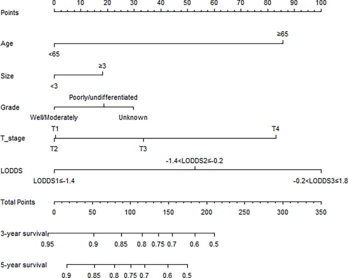 https://cdn.ncbi.nlm.nih.gov/pmc/blobs/947e/8739949/0b5c5776b8f0/fonc-11-772482-g003.jpg