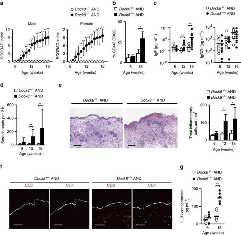 https://cdn.ncbi.nlm.nih.gov/pmc/blobs/947f/5228069/99eb1e471af9/ncomms13946-f2.jpg