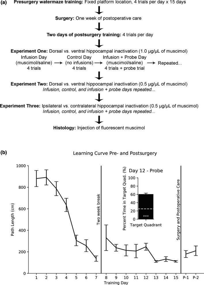 https://cdn.ncbi.nlm.nih.gov/pmc/blobs/947f/6790314/8f6362cd781a/BRB3-9-e01410-g001.jpg