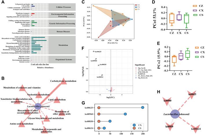 https://cdn.ncbi.nlm.nih.gov/pmc/blobs/9481/11194372/01f624260daf/fphar-15-1360589-g007.jpg