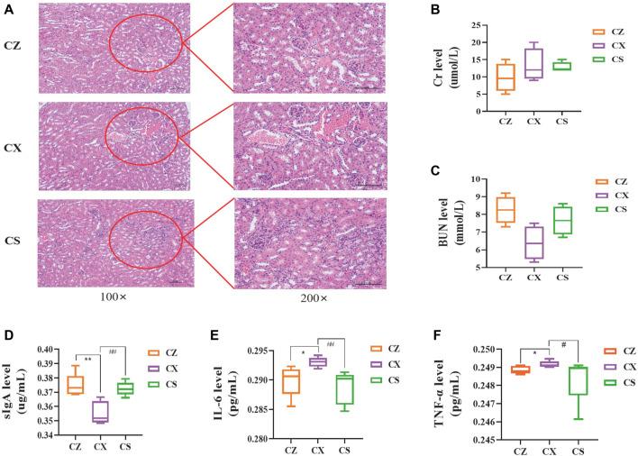https://cdn.ncbi.nlm.nih.gov/pmc/blobs/9481/11194372/62c1893a0505/fphar-15-1360589-g003.jpg