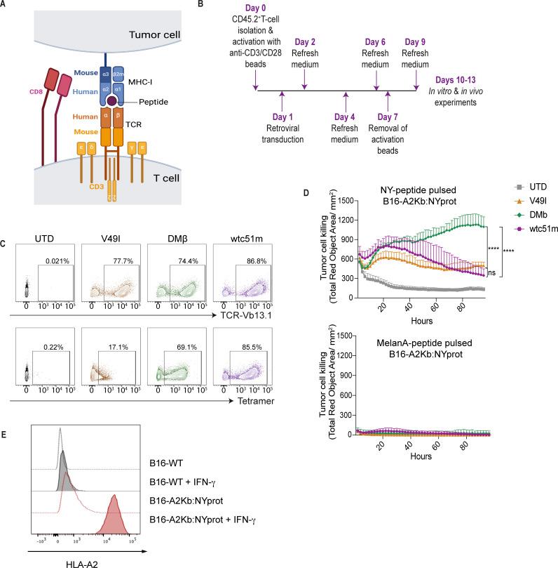 https://cdn.ncbi.nlm.nih.gov/pmc/blobs/9481/11667476/2c051fe2e7cc/jitc-12-12-g002.jpg