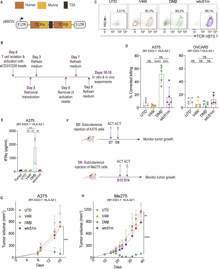 https://cdn.ncbi.nlm.nih.gov/pmc/blobs/9481/11667476/4ad69f7b4020/jitc-12-12-g001.jpg