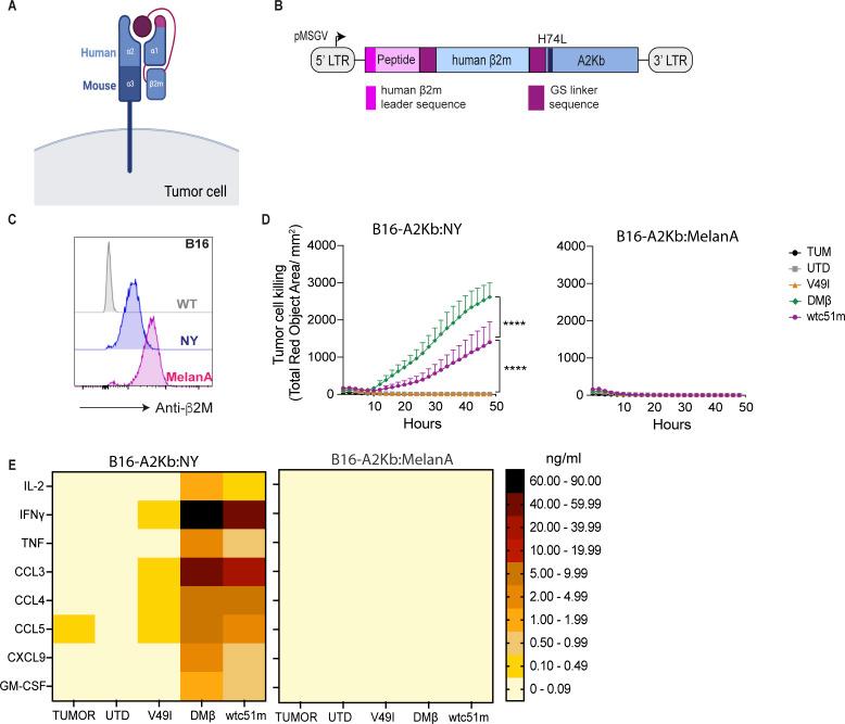 https://cdn.ncbi.nlm.nih.gov/pmc/blobs/9481/11667476/4c0ed15a26e2/jitc-12-12-g003.jpg
