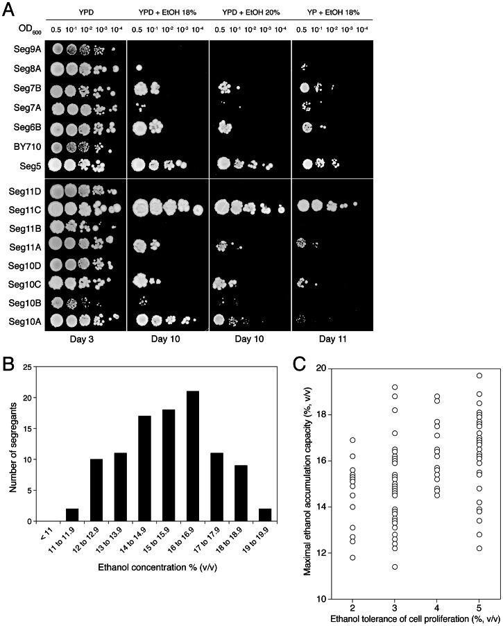 https://cdn.ncbi.nlm.nih.gov/pmc/blobs/9481/3675000/36e3e39d2990/pgen.1003548.g003.jpg
