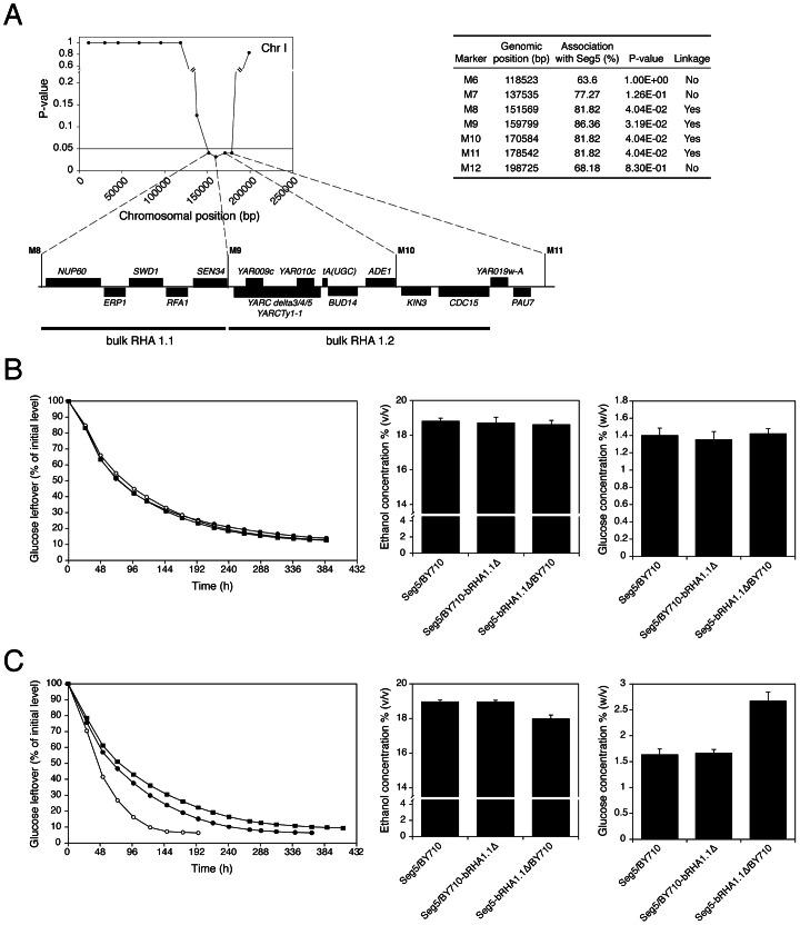 https://cdn.ncbi.nlm.nih.gov/pmc/blobs/9481/3675000/9bf389e50926/pgen.1003548.g005.jpg