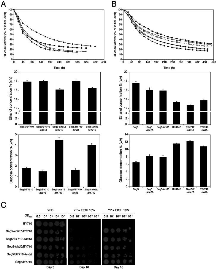 https://cdn.ncbi.nlm.nih.gov/pmc/blobs/9481/3675000/fa98f2c3d733/pgen.1003548.g006.jpg