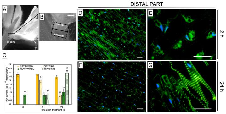 https://cdn.ncbi.nlm.nih.gov/pmc/blobs/9483/7312349/96749a173794/ijms-21-03815-g002.jpg