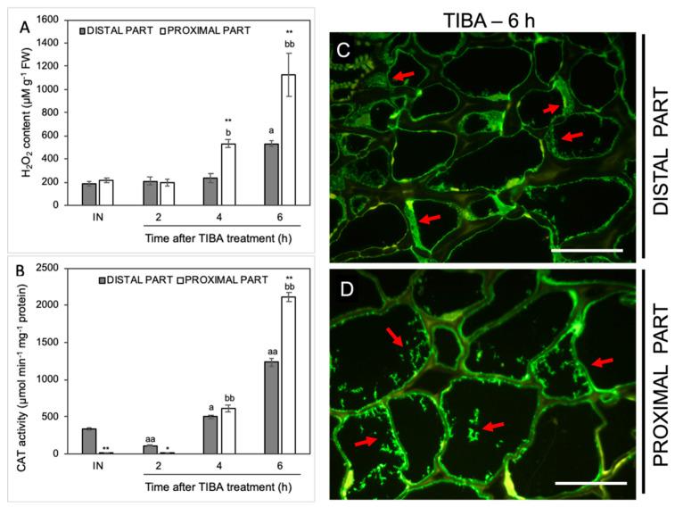 https://cdn.ncbi.nlm.nih.gov/pmc/blobs/9483/7312349/d99bb5b2162a/ijms-21-03815-g007.jpg