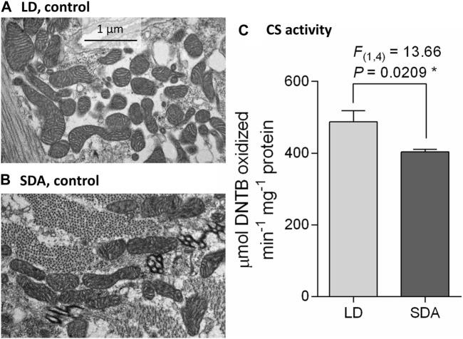 https://cdn.ncbi.nlm.nih.gov/pmc/blobs/9484/10880108/8dfa63078f0d/fphys-15-1358190-g001.jpg