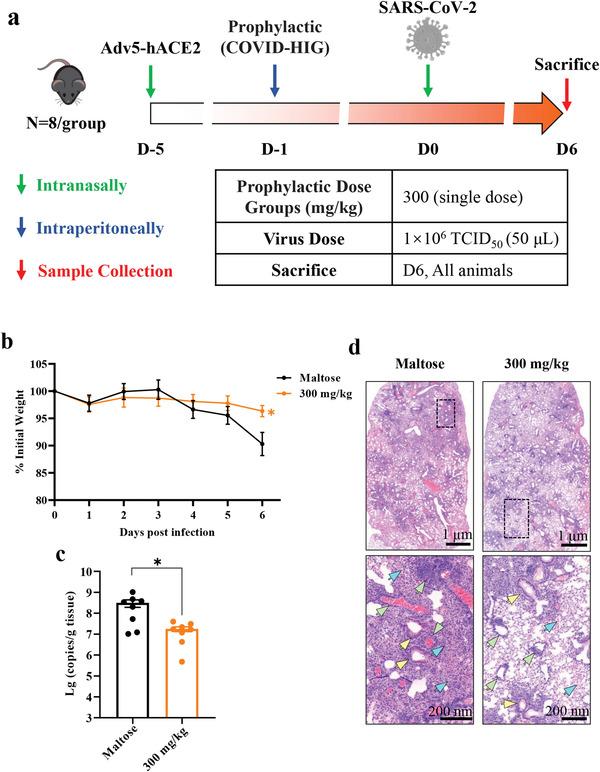 https://cdn.ncbi.nlm.nih.gov/pmc/blobs/9484/9108634/2090876b5367/ADVS-9-2104333-g008.jpg
