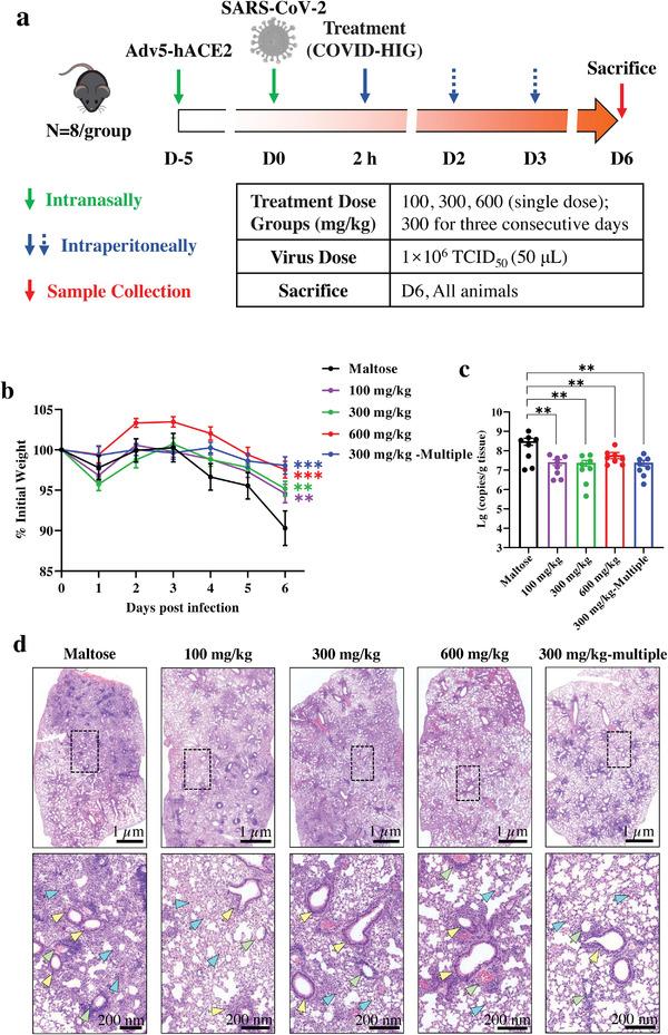 https://cdn.ncbi.nlm.nih.gov/pmc/blobs/9484/9108634/42f332752a2f/ADVS-9-2104333-g001.jpg