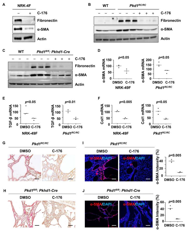 https://cdn.ncbi.nlm.nih.gov/pmc/blobs/9485/11505933/1895323ea285/biomolecules-14-01215-g005.jpg