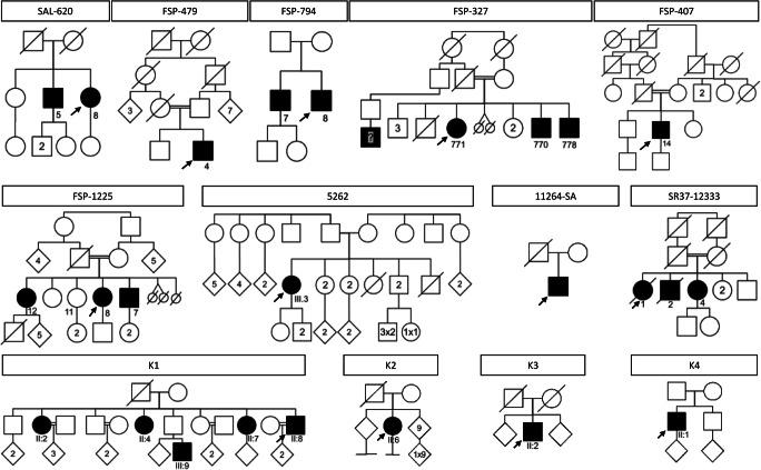 https://cdn.ncbi.nlm.nih.gov/pmc/blobs/9486/7997841/496b70aa1ace/10048_2020_633_Fig1_HTML.jpg