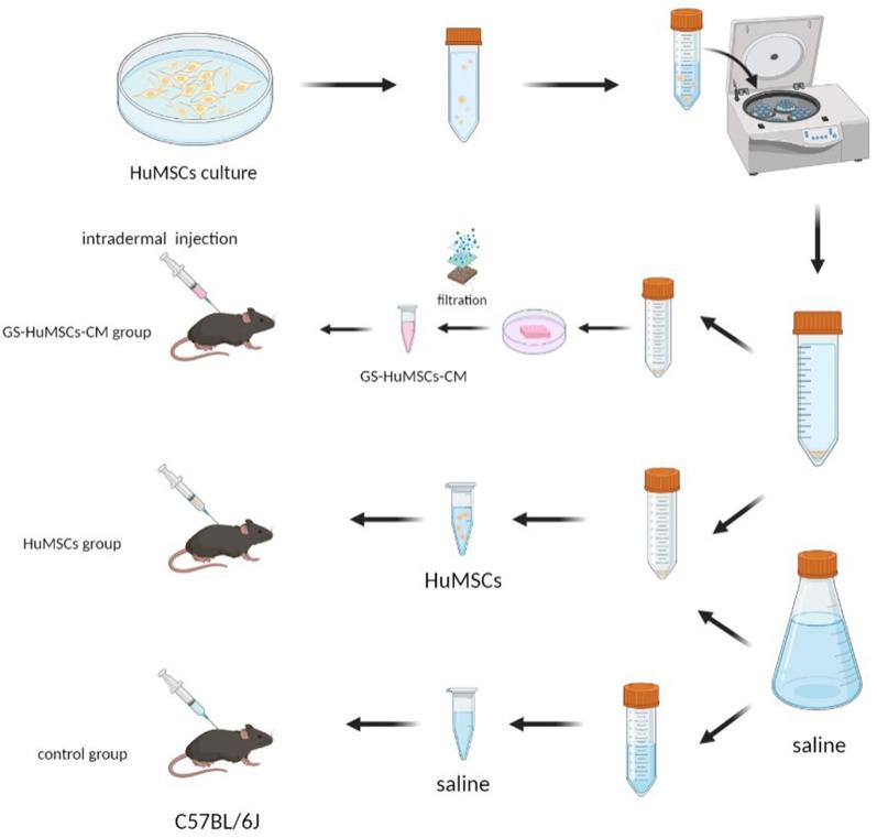 https://cdn.ncbi.nlm.nih.gov/pmc/blobs/9489/11069168/0bfcedef05b8/40001_2024_1830_Fig1_HTML.jpg