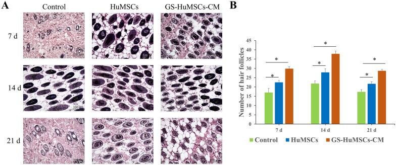 https://cdn.ncbi.nlm.nih.gov/pmc/blobs/9489/11069168/4a81e5bda189/40001_2024_1830_Fig10_HTML.jpg