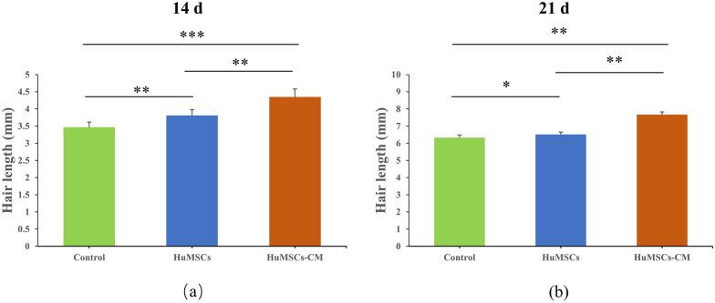 https://cdn.ncbi.nlm.nih.gov/pmc/blobs/9489/11069168/f0ba57ae1985/40001_2024_1830_Fig6_HTML.jpg