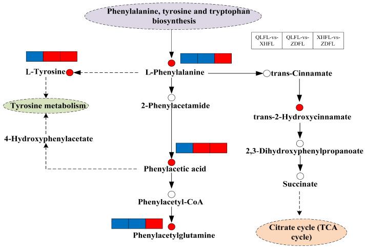 https://cdn.ncbi.nlm.nih.gov/pmc/blobs/948a/11118160/5840d9b48cf4/antioxidants-13-00620-g006.jpg