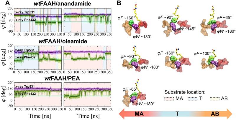 https://cdn.ncbi.nlm.nih.gov/pmc/blobs/948b/4481349/fcc5047563a9/pcbi.1004231.g002.jpg