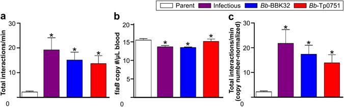 https://cdn.ncbi.nlm.nih.gov/pmc/blobs/948b/5431505/9a7115e76506/41598_2017_1589_Fig5_HTML.jpg