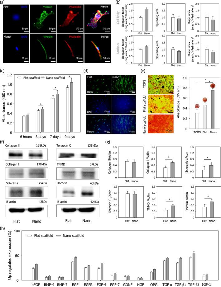 https://cdn.ncbi.nlm.nih.gov/pmc/blobs/948b/9842040/070869a9adba/BTM2-8-e10376-g001.jpg