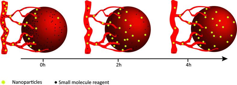 https://cdn.ncbi.nlm.nih.gov/pmc/blobs/948d/7779686/103199b34c6e/fimmu-11-601497-g001.jpg