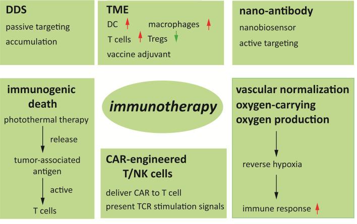https://cdn.ncbi.nlm.nih.gov/pmc/blobs/948d/7779686/c2317b26fe3a/fimmu-11-601497-g005.jpg