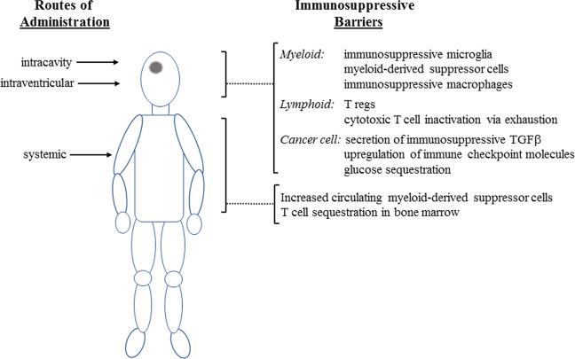 https://cdn.ncbi.nlm.nih.gov/pmc/blobs/948e/8850190/2341091e5172/41417_2021_320_Fig1_HTML.jpg