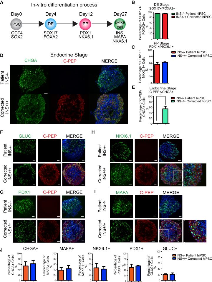 https://cdn.ncbi.nlm.nih.gov/pmc/blobs/9490/6294262/5c87914e31b8/gr2.jpg