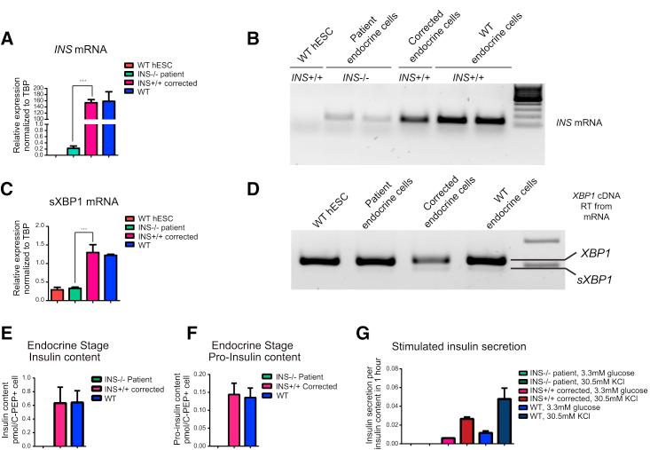 https://cdn.ncbi.nlm.nih.gov/pmc/blobs/9490/6294262/611a8d6262ac/gr3.jpg