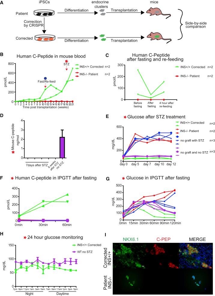 https://cdn.ncbi.nlm.nih.gov/pmc/blobs/9490/6294262/eac92ee33b68/gr4.jpg