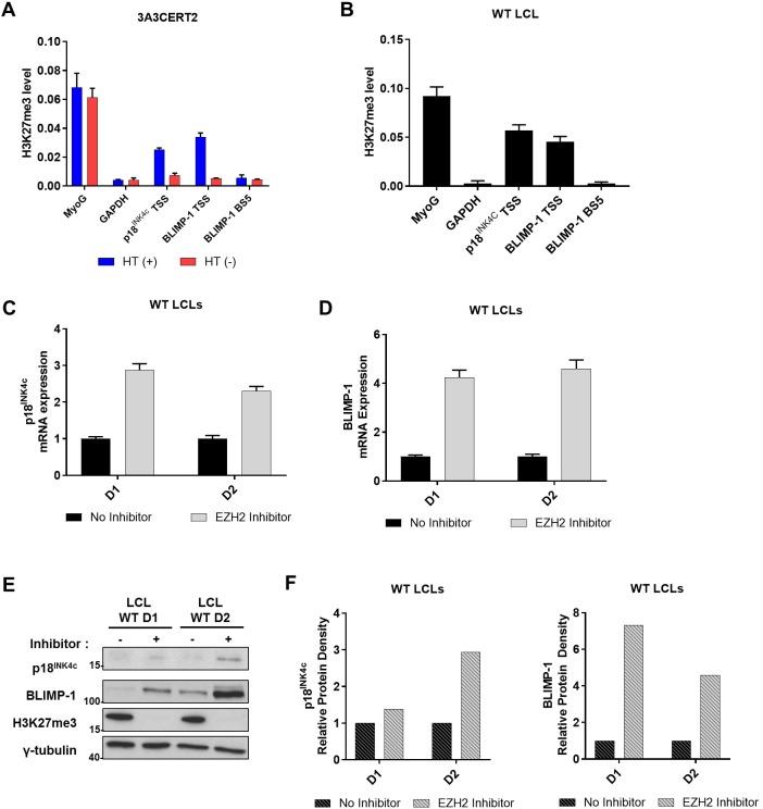 https://cdn.ncbi.nlm.nih.gov/pmc/blobs/9492/5542390/0202cc95f0ae/pbio.2001992.g009.jpg