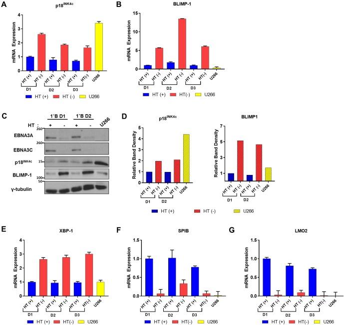 https://cdn.ncbi.nlm.nih.gov/pmc/blobs/9492/5542390/f1430734115c/pbio.2001992.g010.jpg