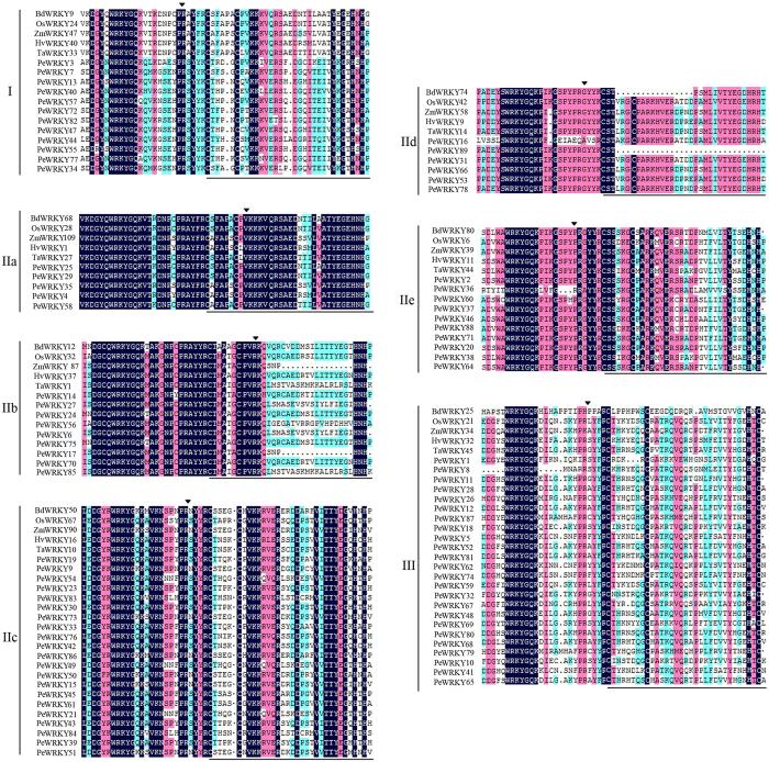 https://cdn.ncbi.nlm.nih.gov/pmc/blobs/9497/5601430/a0769a3869b5/41598_2017_10795_Fig1_HTML.jpg