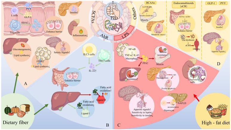 https://cdn.ncbi.nlm.nih.gov/pmc/blobs/9498/12389143/c7570a639e6f/nutrients-17-02708-g005.jpg