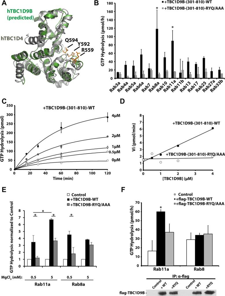 https://cdn.ncbi.nlm.nih.gov/pmc/blobs/9498/4230784/38489f8432f9/3779fig3.jpg