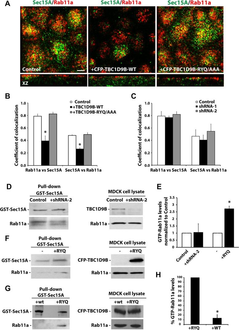 https://cdn.ncbi.nlm.nih.gov/pmc/blobs/9498/4230784/58fe1d8e4f8a/3779fig9.jpg